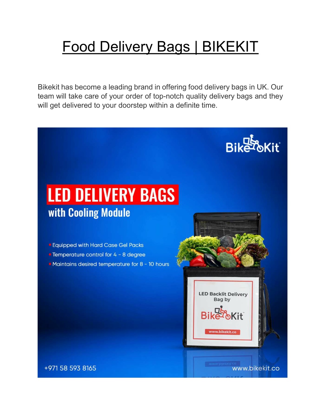 food delivery bag for bike