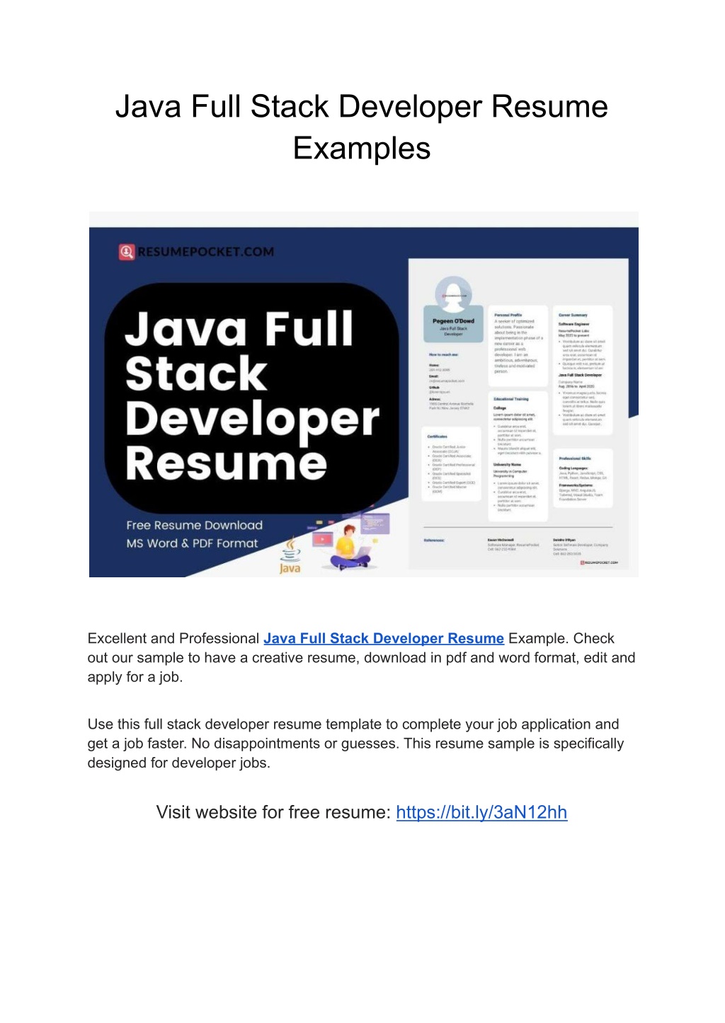 Ppt Java Full Stack Developer Resume Examples Powerpoint Presentation