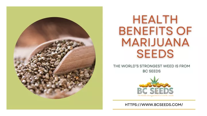 PPT - Health Benefits Of Marijuana Seeds PowerPoint Presentation, free ...