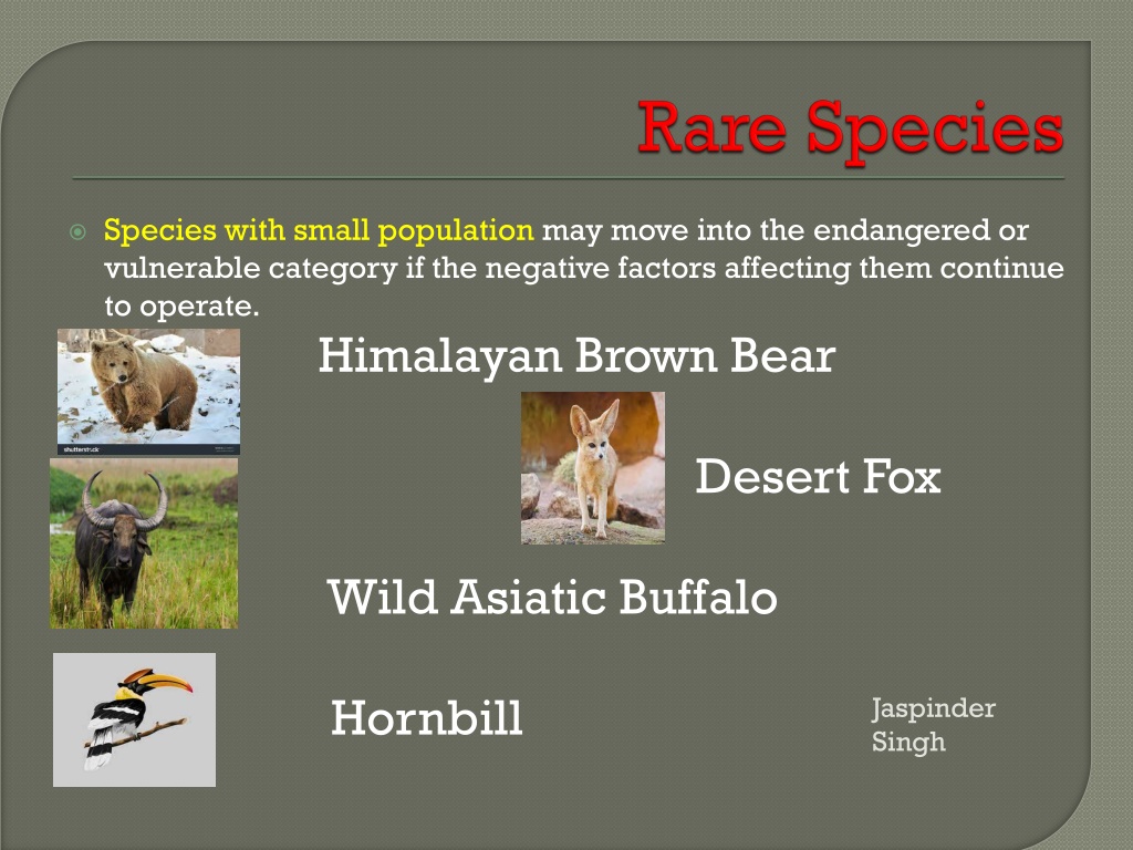 PPT - Forest and Wildlife Resources PowerPoint Presentation, free ...