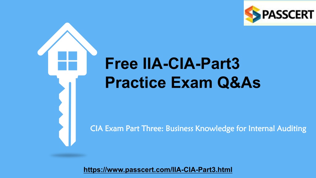 IIA-CIA-Part2 Testantworten