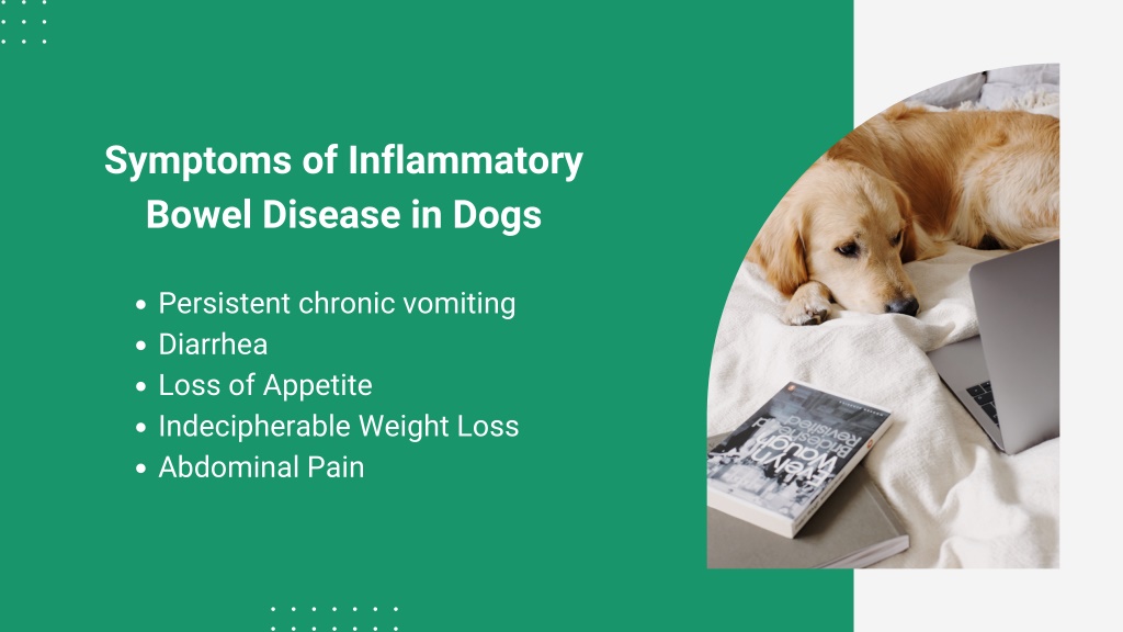 PPT - Inflammatory Bowel Disease InDogs PowerPoint Presentation, free ...