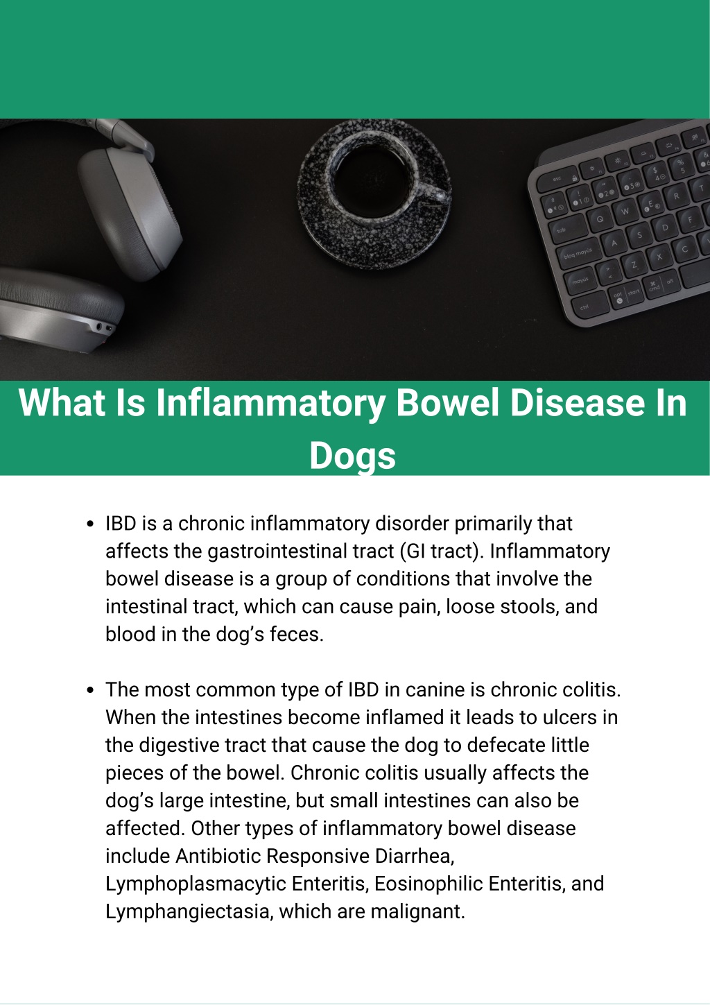 PPT Inflammatory Bowel Disease InDogs A4 (1) PowerPoint Presentation