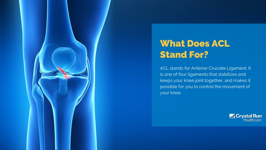 ppt-understanding-acl-injuries-powerpoint-presentation-free-download