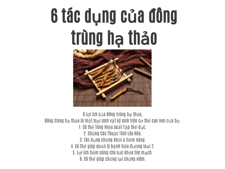 PPT - 6 Tác Dụng Của đông Trùng Hạ Thảo PowerPoint Presentation - ID ...