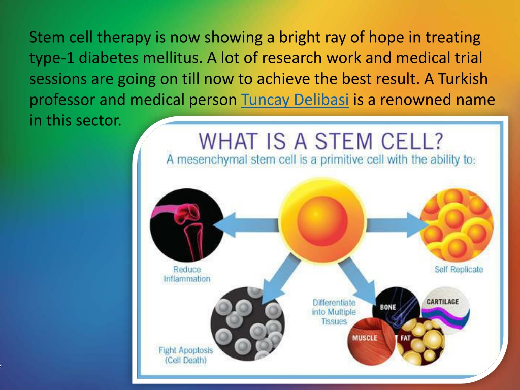 PPT - The latest procedure of stem cell therapy for type-1 diabetes ...
