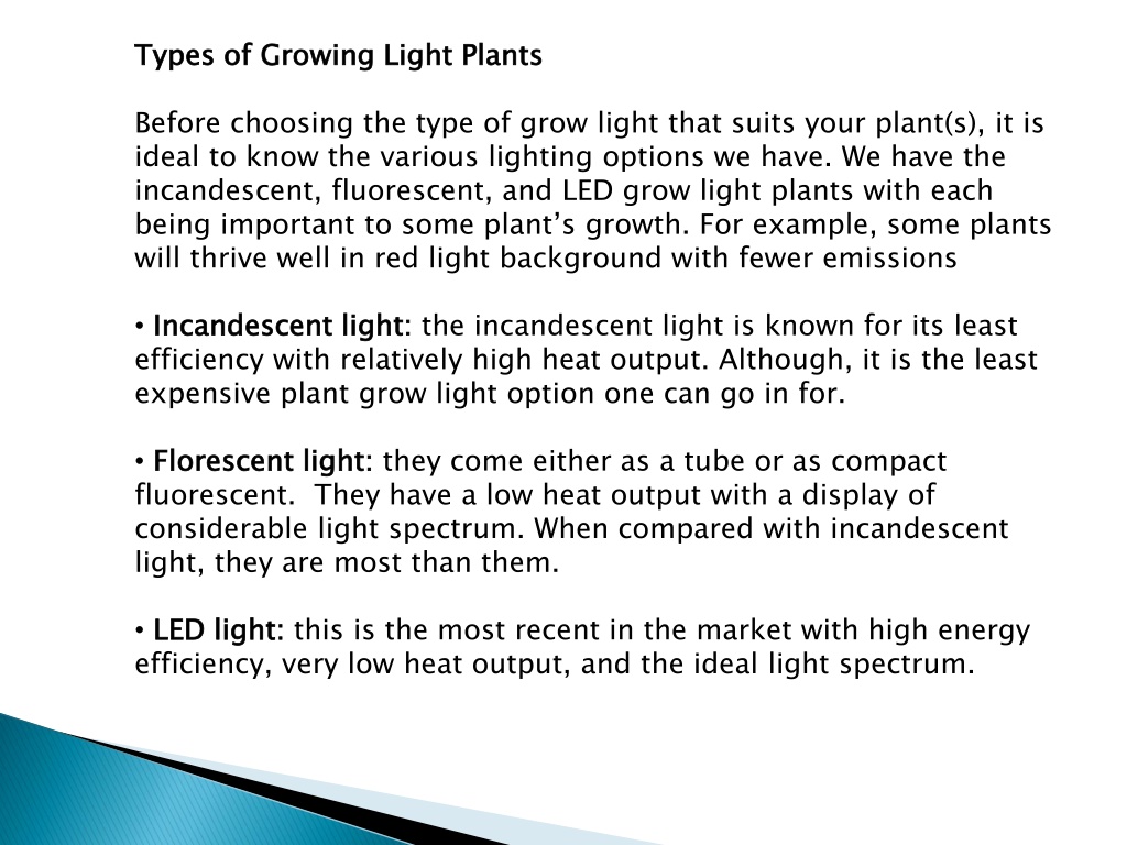 PPT - How to Choose the Best Grow Lights for Indoor Plants PowerPoint ...