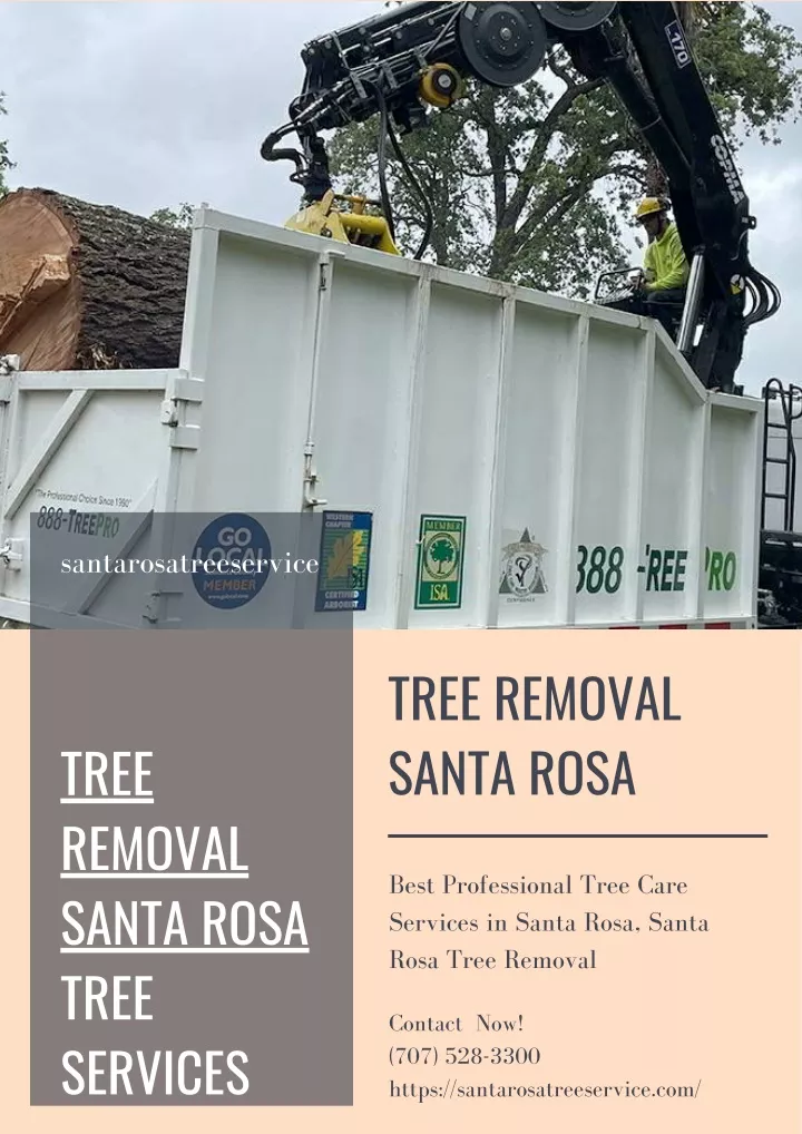 PPT Tree Removal Santa Rosa PowerPoint Presentation, free download