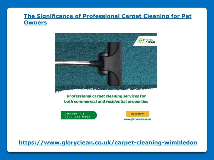 the significance of professional carpet cleaning n.