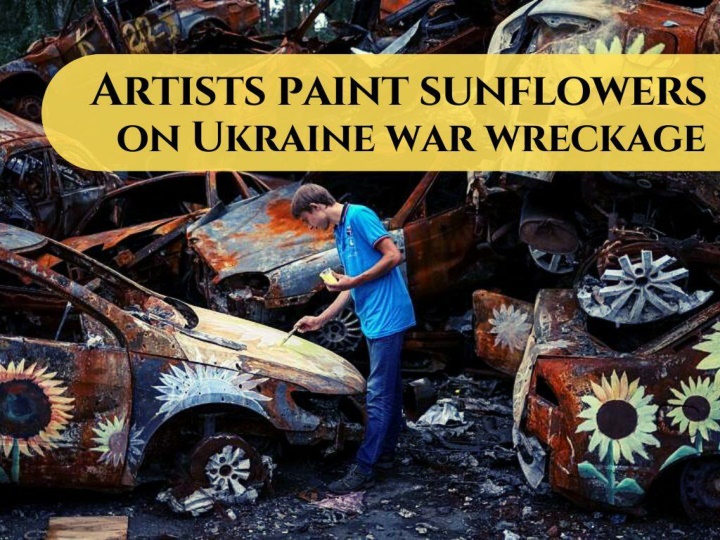 artists paint sunflowers on ukraine war wreckage n.