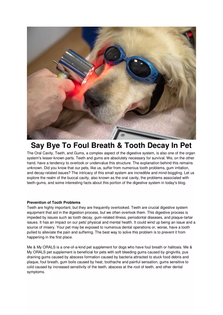 ppt-say-bye-to-foul-breath-tooth-decay-in-pet-powerpoint