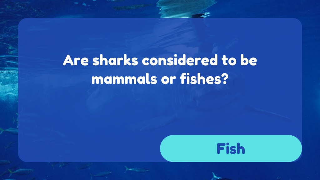 PPT - Shark Facts Quiz: How Much Do You Know About Sharks? PowerPoint