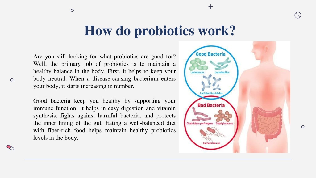 PPT - Importance of Probiotics for Human Health PowerPoint Presentation ...