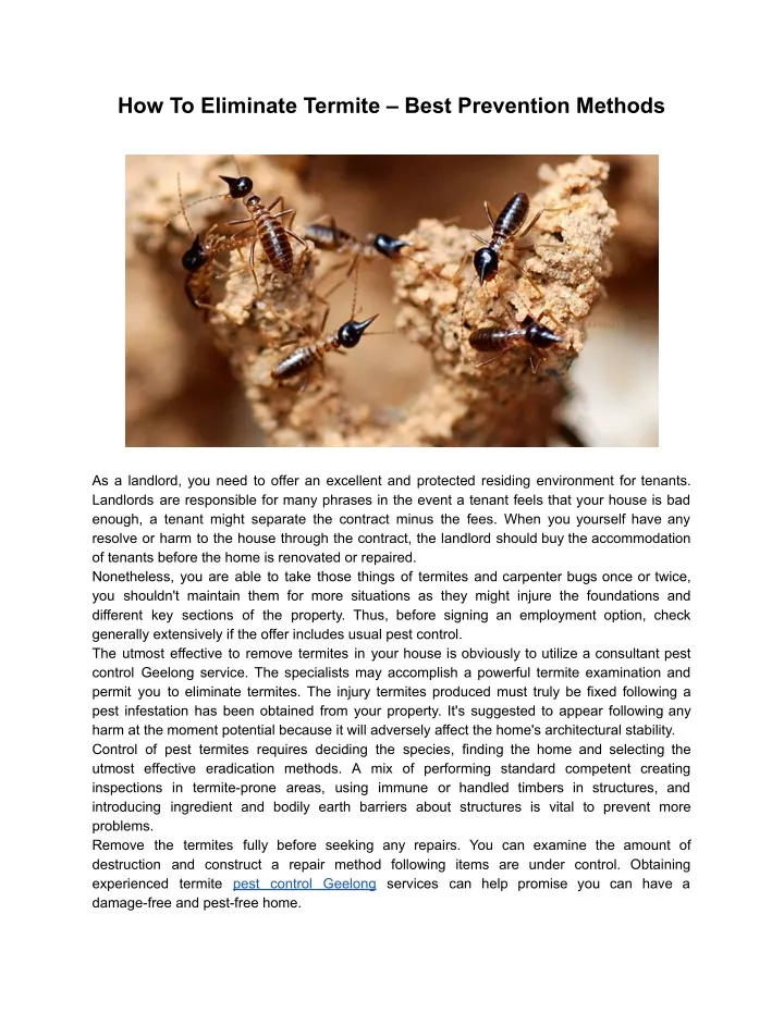 PPT - Termite Control - Regal Pest Control Geelong PowerPoint ...