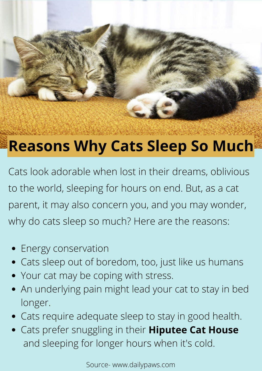 PPT - Reasons Why Cats Sleep So Much PowerPoint Presentation, free ...