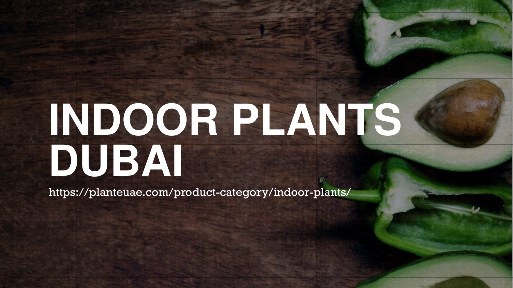 PPT Indoor Plants Dubai PowerPoint Presentation, free download ID