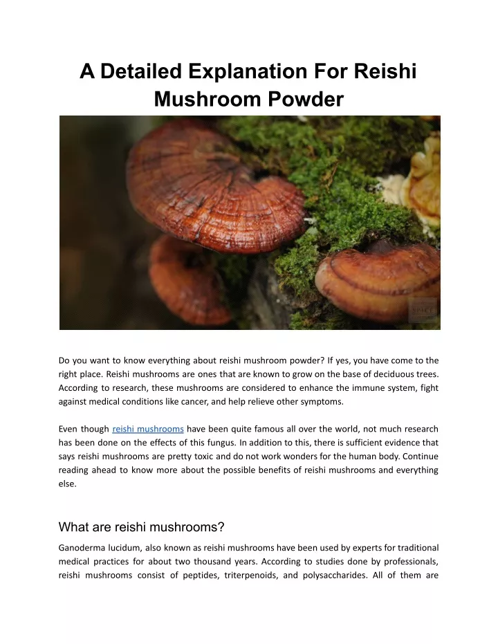 PPT - Reishi Mushroom Powder PowerPoint Presentation, free download ...