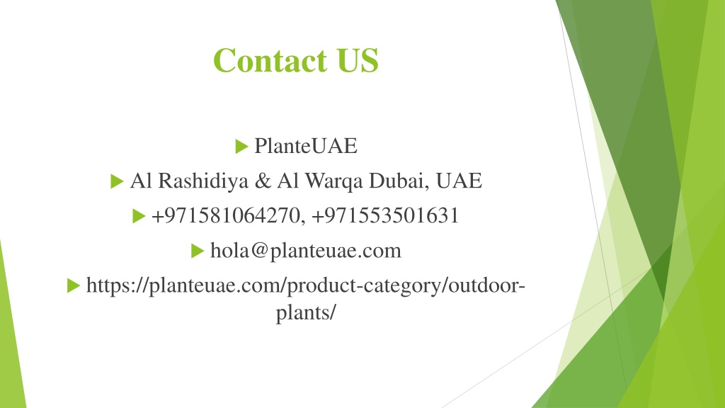 PPT Best Outdoor Plants For Dubai PowerPoint Presentation, free