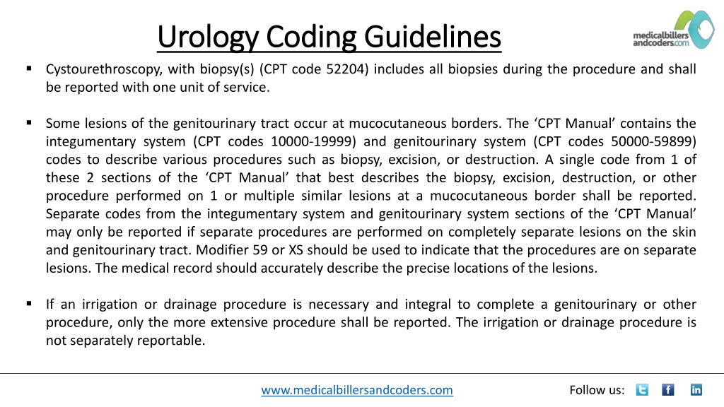 PPT - Urology Coding Guidelines PowerPoint Presentation, Free Download ...