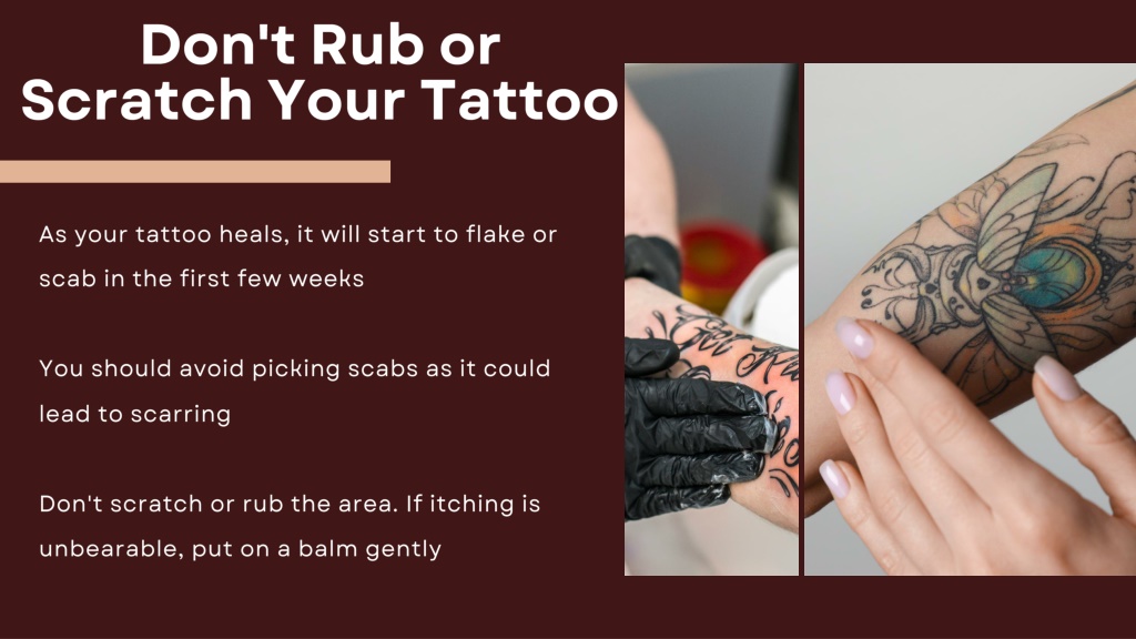 PPT - Tattoo Aftercare Do's and Don'ts to Follow! PowerPoint ...