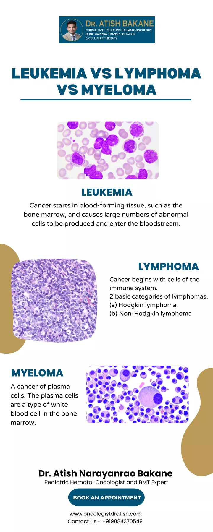 ppt-leukemia-vs-lymphoma-vs-myeloma-powerpoint-presentation-free