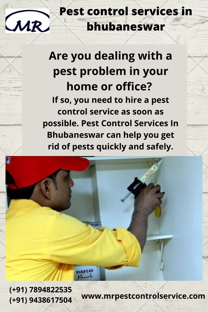 PPT Efficient & EcoFriendly Pest Control Services In Bhubaneswar