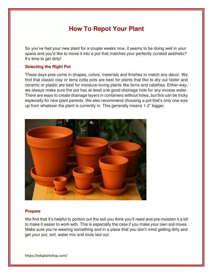 PPT How to Repot your plant PowerPoint Presentation, free download