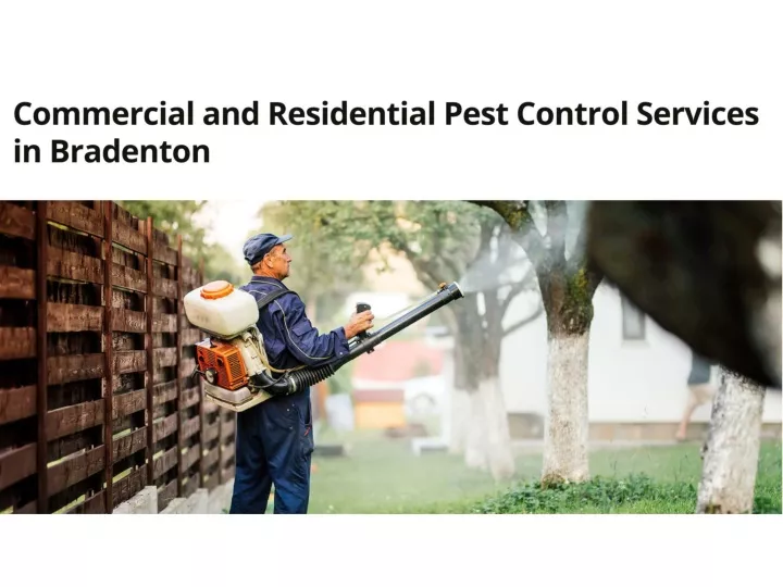 PPT Pest Control Services in Sarasota PowerPoint Presentation, free