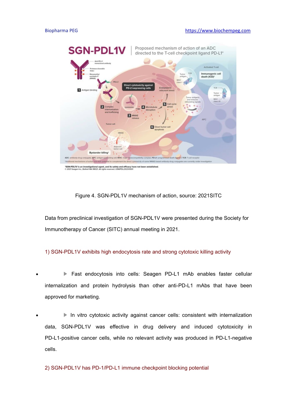 PPT - Development Of PD-L1 Antibody Drug Conjugates (ADC) PowerPoint ...