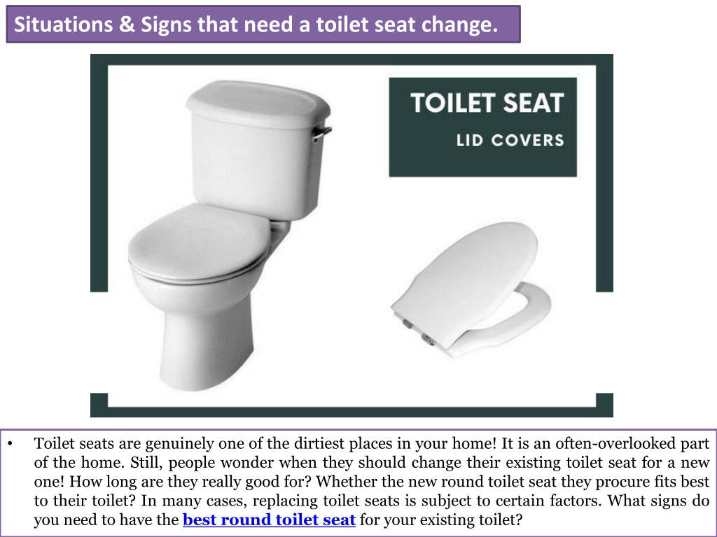 PPT How Long Do Toilet Seats Last And When To Replace Yours