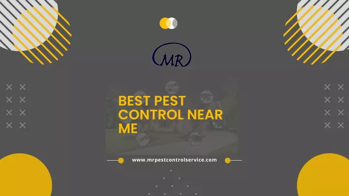 best pest control near me