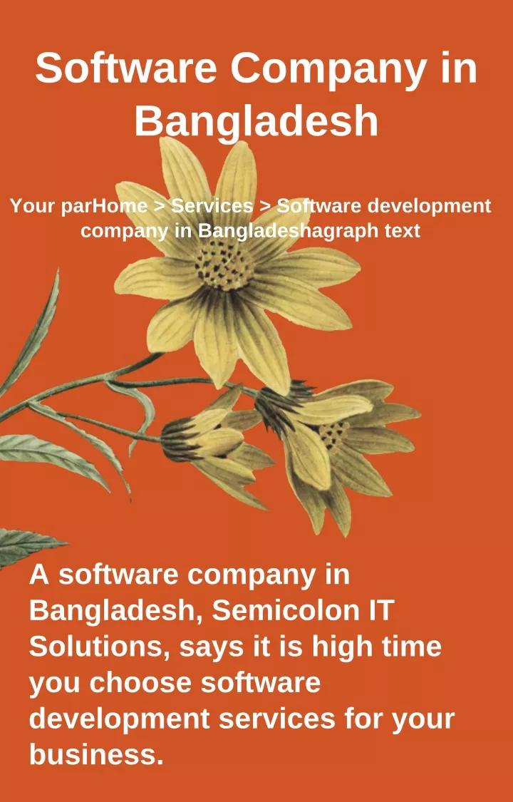 ppt-software-company-in-bangladesh-semicolon-it-solutions