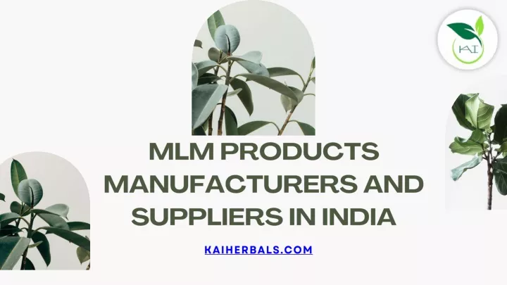 manufacturer-and-supplier-of-industrial-safety-equipment-store-in-india