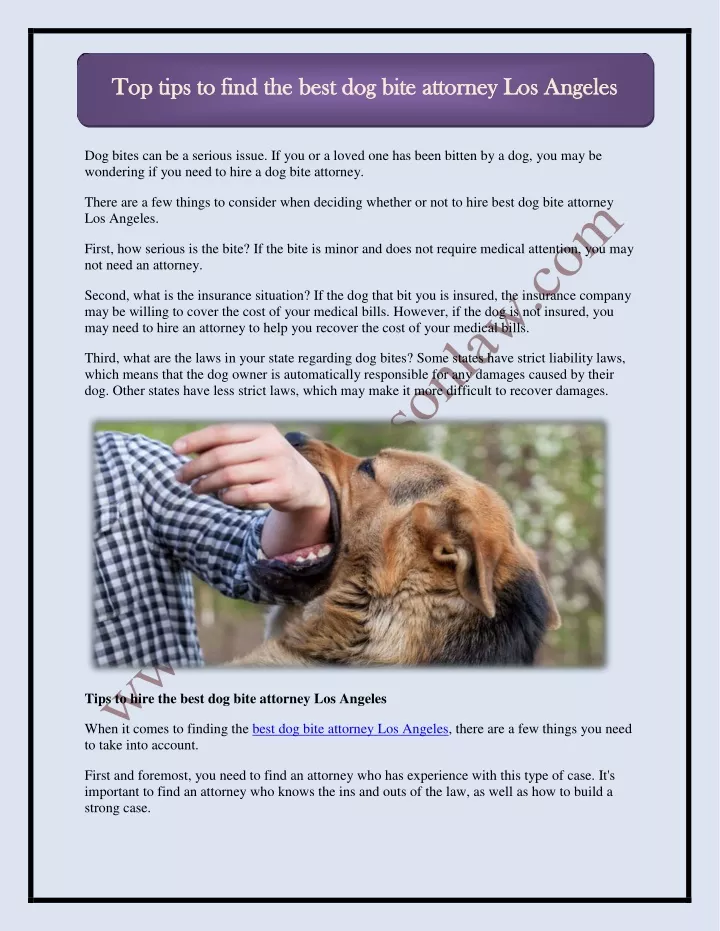 PPT - Top tips to find the best dog bite attorney Los Angeles