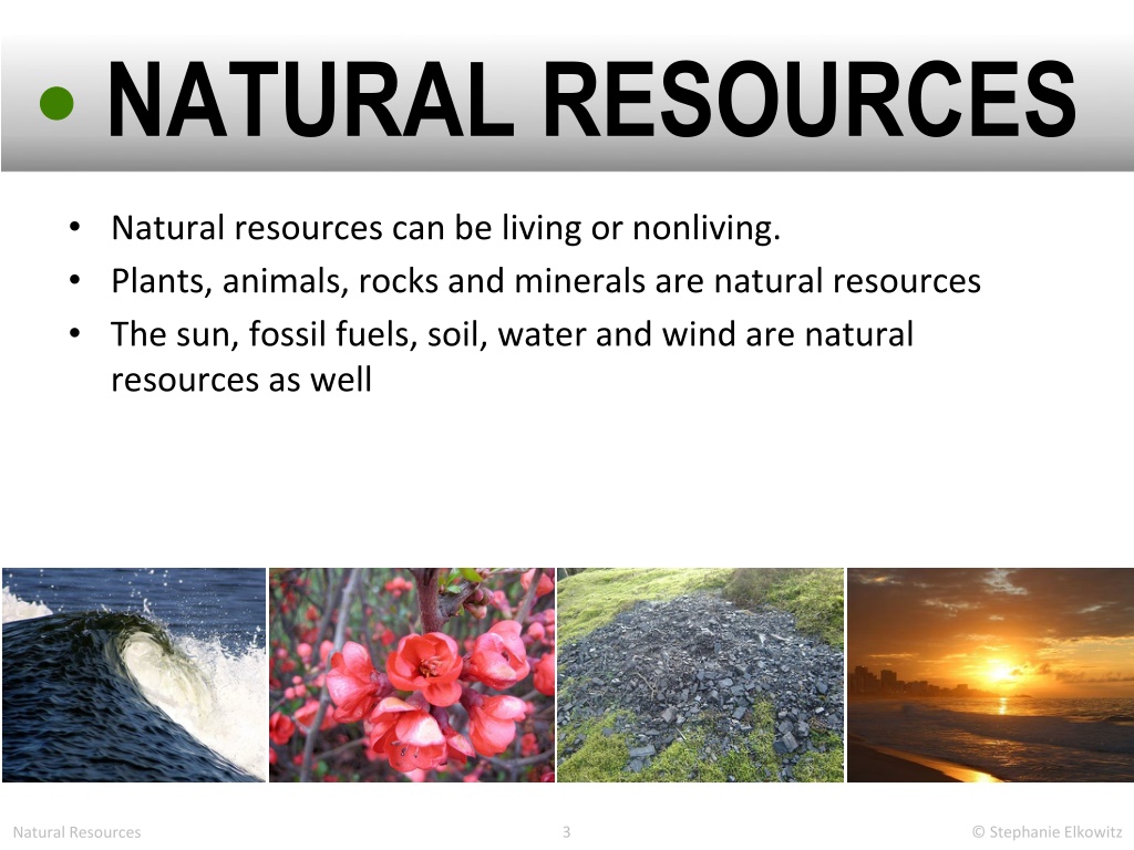 PPT - Natural vs Synthetic Resources PP Slides 7th grade science q2 ...