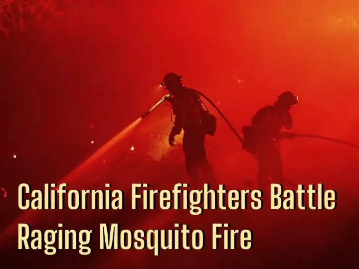 california firefighters battle raging mosquito fire n.