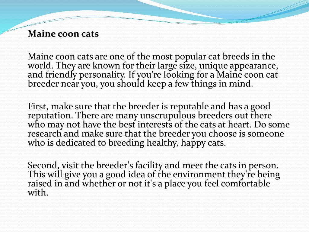 Ppt Maine Coon Breeders Near Me Powerpoint Presentation Free Download Id 11609665