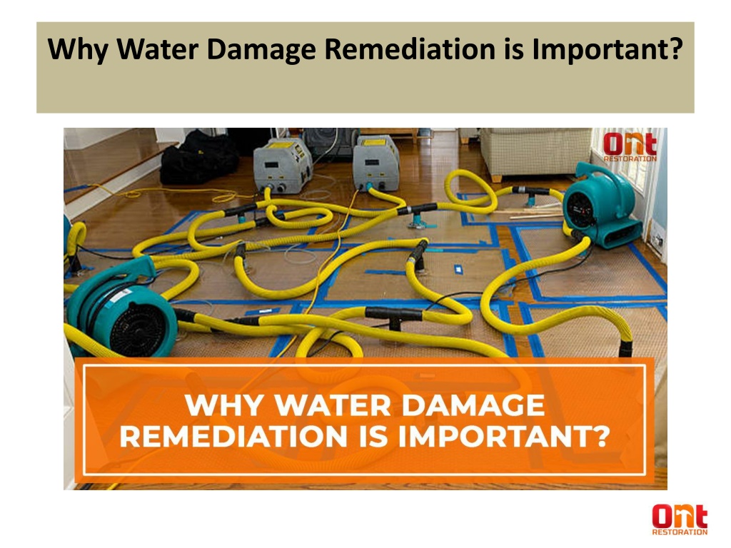 PPT Why Water Damage Remediation is Important PowerPoint