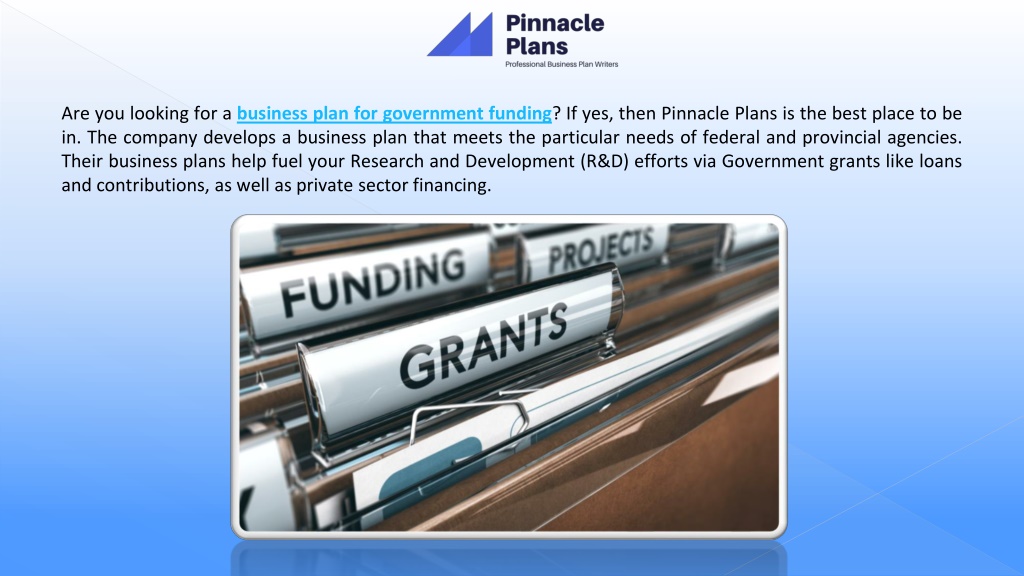 government funding business plans