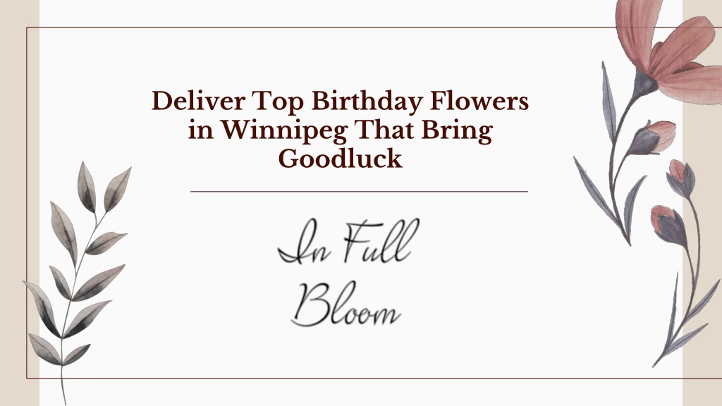 PPT - Deliver Top Birthday Flowers in Winnipeg That Bring Goodluck ...