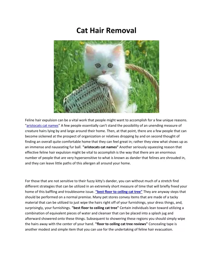 PPT Cat Hair Removal PowerPoint Presentation, free download ID11625674