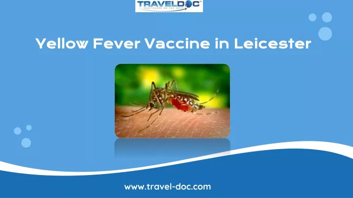 PPT - Yellow Fever Vaccine in Leicester PowerPoint Presentation, free download - ID:11638575