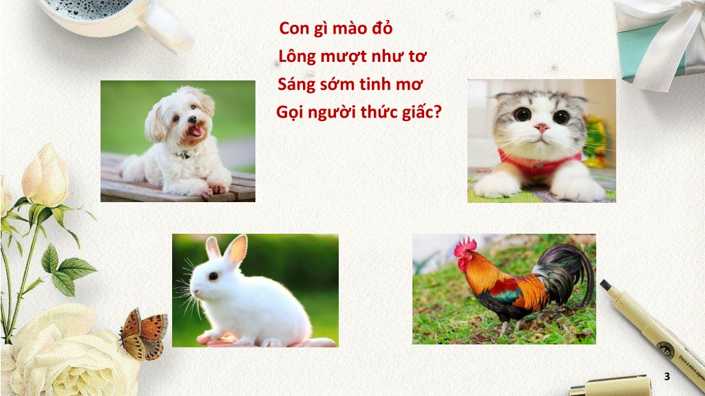 PPT - Bài Giảng Thi Tài Cùng Bé PowerPoint Presentation, Free Download ...