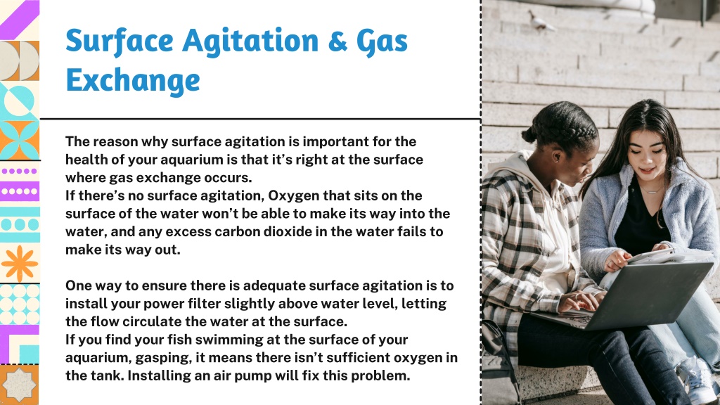 Illustration of Gas Exchange Systems For Aquariums