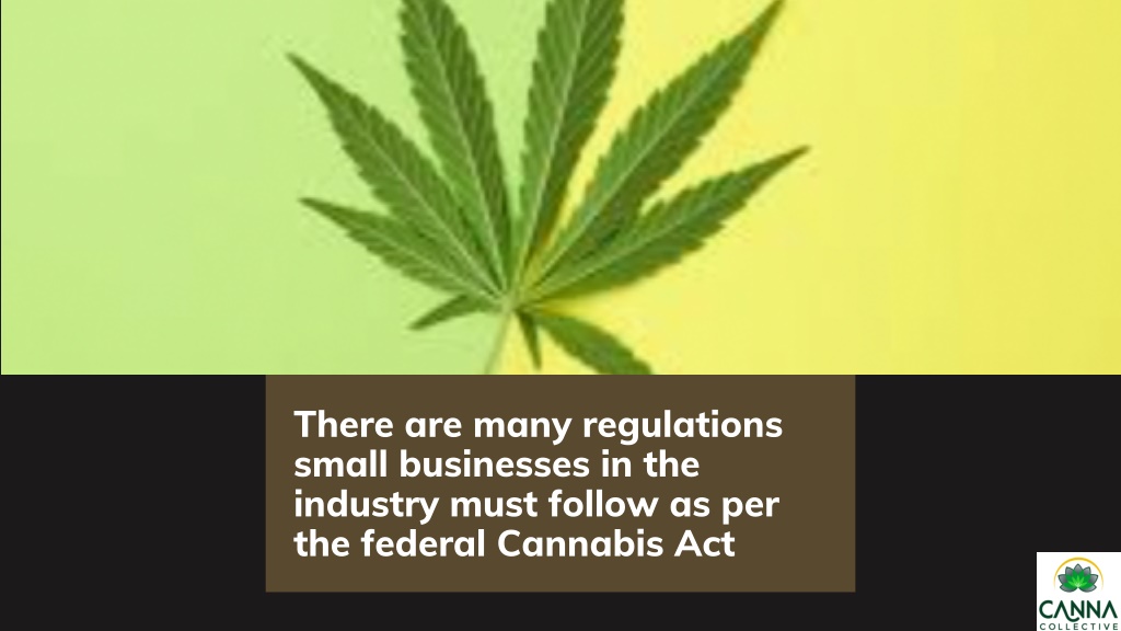 PPT - Key Risks and Challenges Faced By Cannabis Small Businesses ...