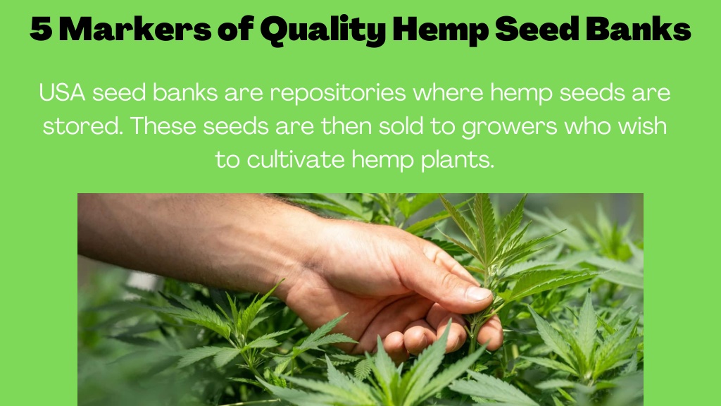 hemp friendly banks