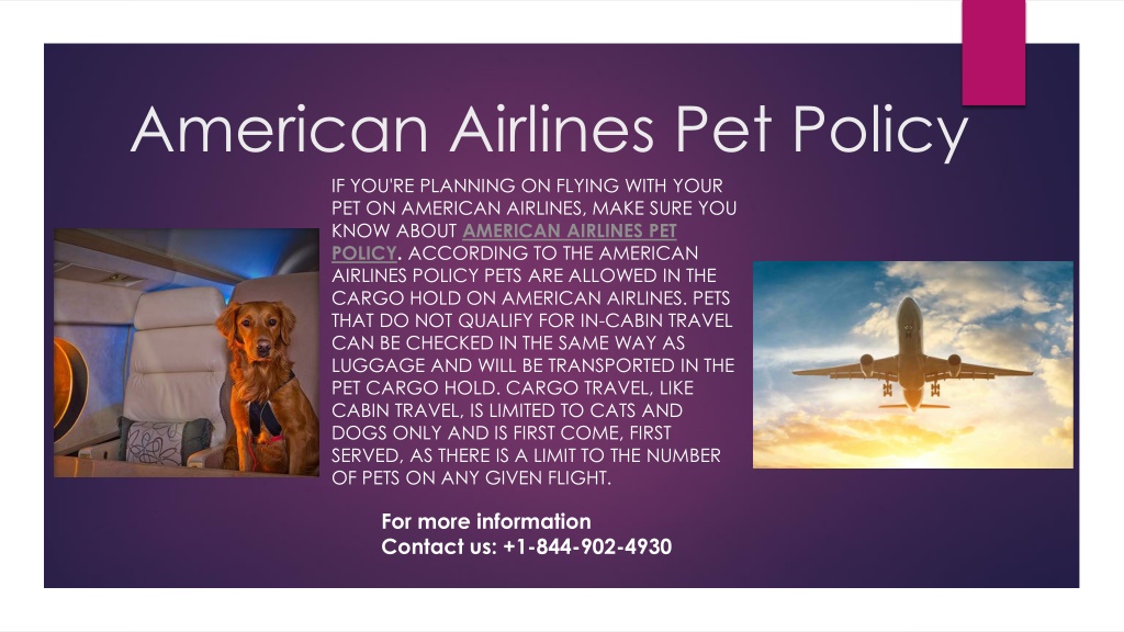 Pet fee on outlet american airlines