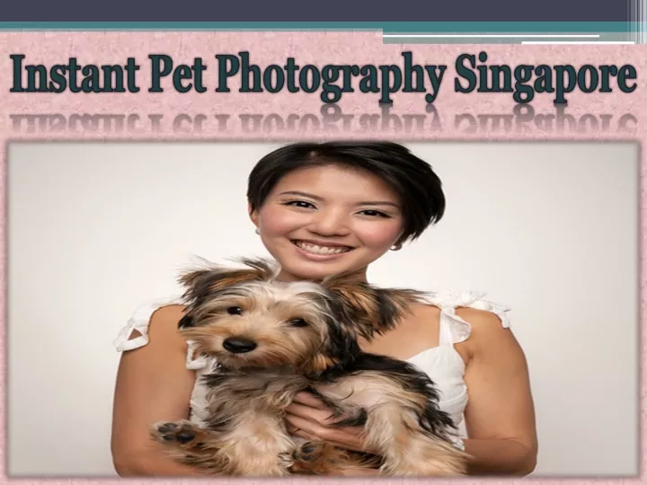 instant pet photography singapore n.