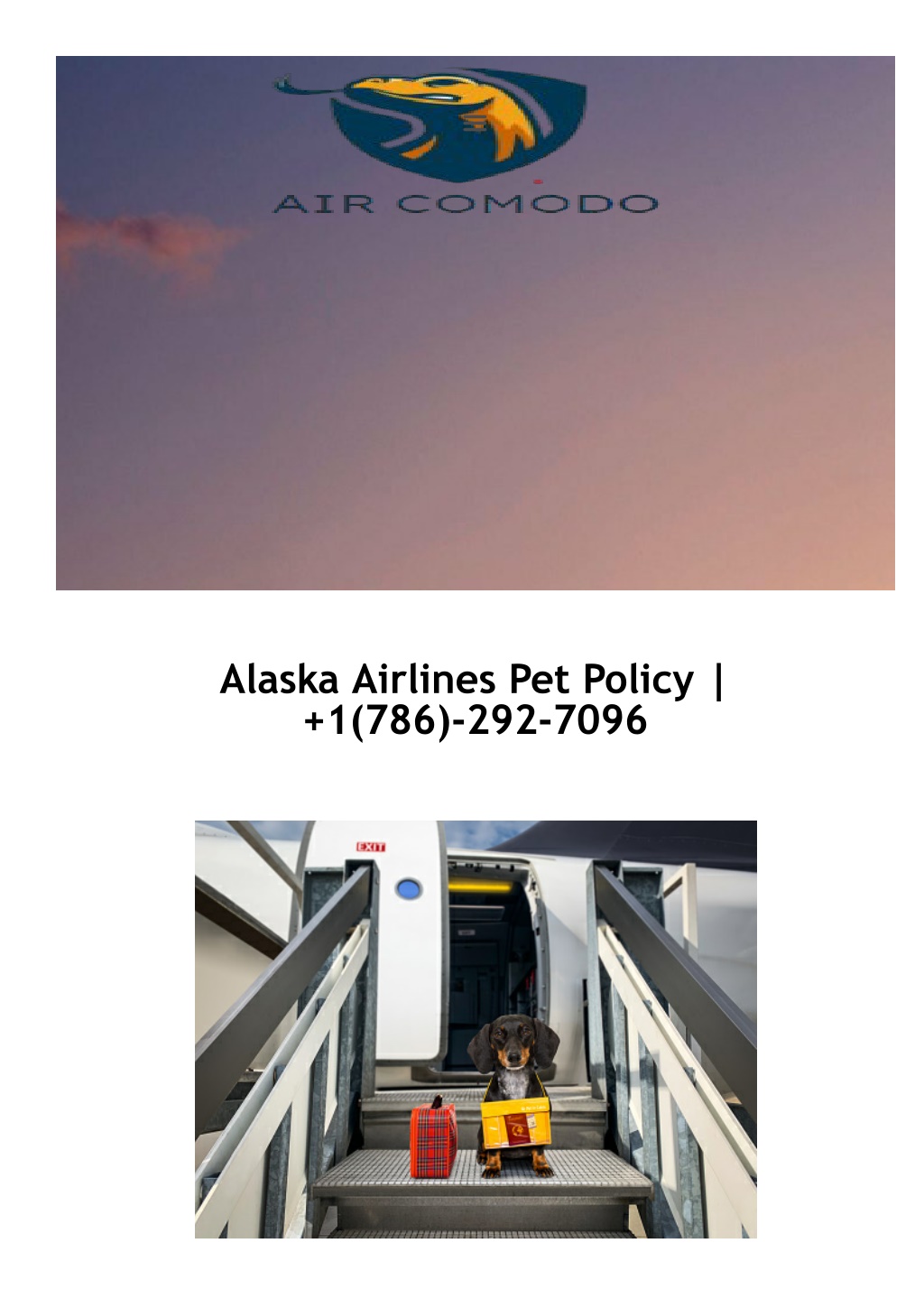 air alaska pet policy