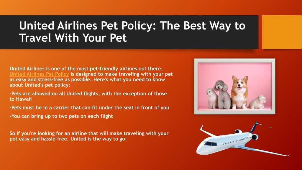 PPT United Airlines Pet Policy PowerPoint Presentation, free download